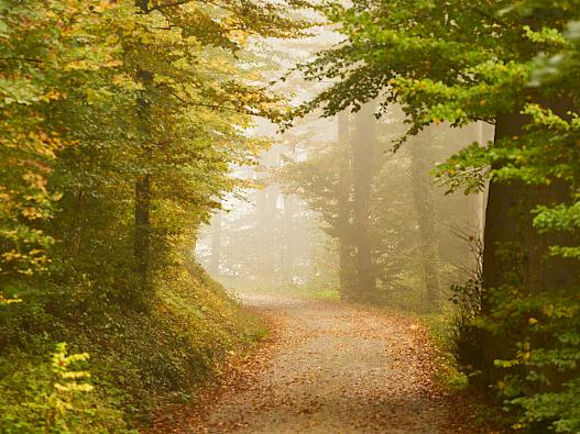 Selbstbestimmt sterben